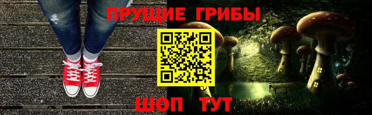 Галлюциногенные грибы мицелий  Вход с VPN  купить наркотик  Каменск-Уральский  Галлюциногенные грибы Psilocybine cubensis 